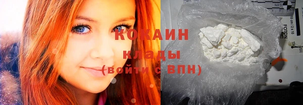 ешки Ельня