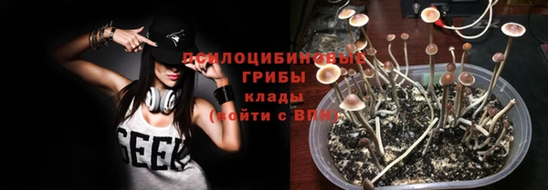 гашишное масло Заводоуковск
