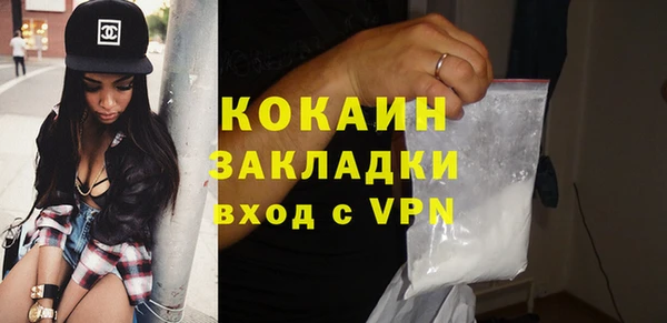 ешки Ельня