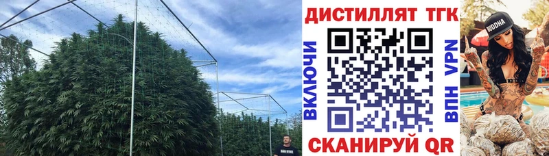 цена   Камышлов  дарк нет формула  ТГК жижа 