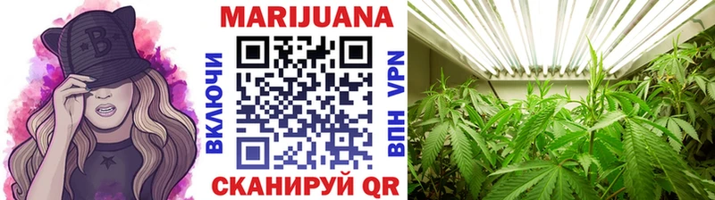 Каннабис планчик  где купить наркоту  Камышлов 